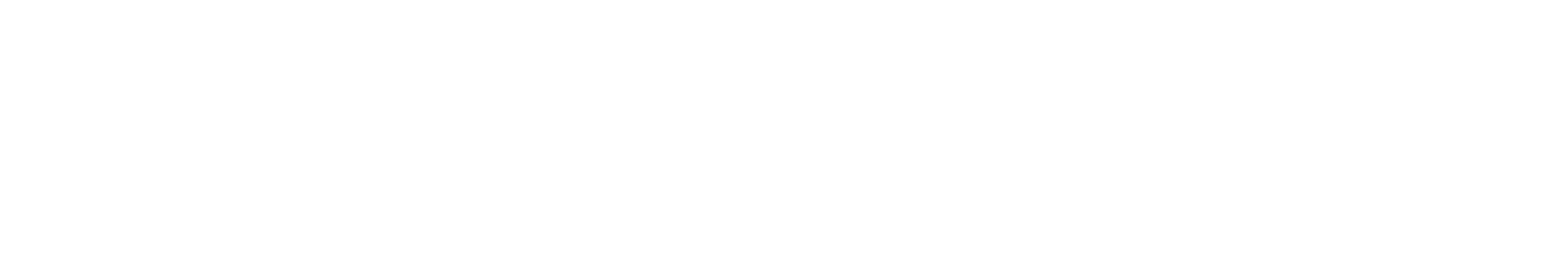 Numisroad Logo